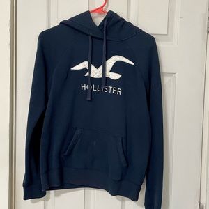vintage hollister hoodie